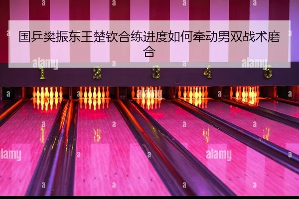 国乒樊振东王楚钦合练进度如何牵动男双战术磨合