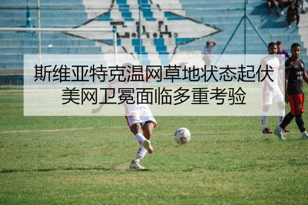 si-wei-ya-te-ke-wen-wang-cao-di-zhuang-tai-qi-fu-mei-wang-wei-mian-mian-lin-duo-zhong-kao-yan-2-108.jpg