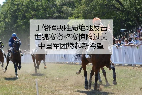 ding-jun-hui-jue-sheng-ju-jue-di-fan-ji-shi-jin-sai-zi-ge-sai-jing-xian-guo-guan-zhong-guo-jun-tuan-ran-qi-xin-xi-wang-2-311.jpg